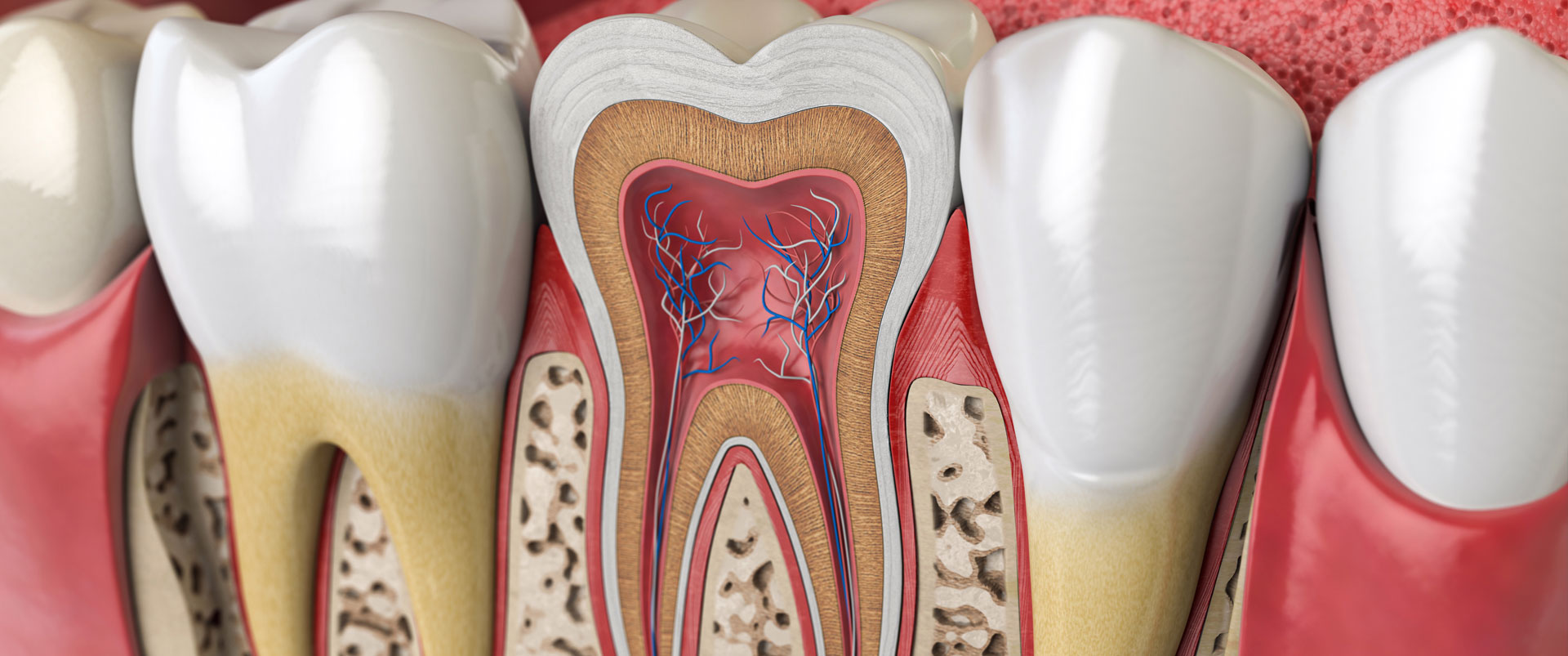 Root Canal | Fort Worth Dentist | Thomas L. Phillips Jr., DDS